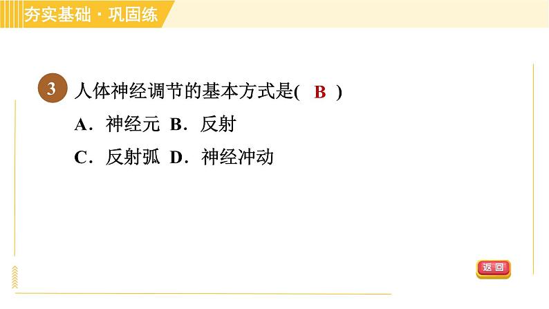 华师版八年级下册科学 第7章 7.2.2神经调节的基本方式 习题课件05