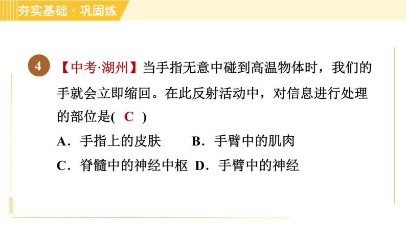 华师版八年级下册科学 第7章 7.2.2神经调节的基本方式 习题课件06