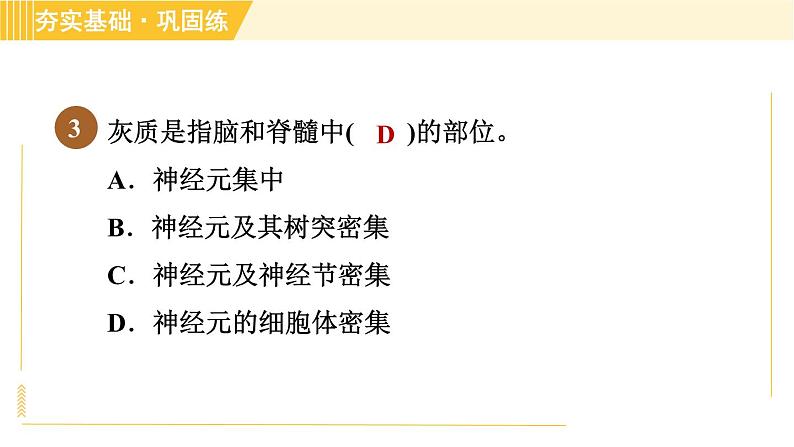 人体生命活动的神经调节PPT课件免费下载06