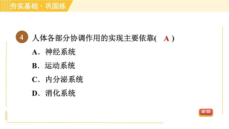 人体生命活动的神经调节PPT课件免费下载08