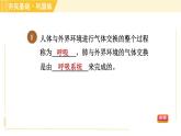 浙教版八年级下册科学 第3章 3.5.1 人体呼吸系统的结构和气体交换 习题课件