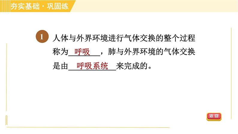 浙教版八年级下册科学 第3章 3.5.1 人体呼吸系统的结构和气体交换 习题课件03