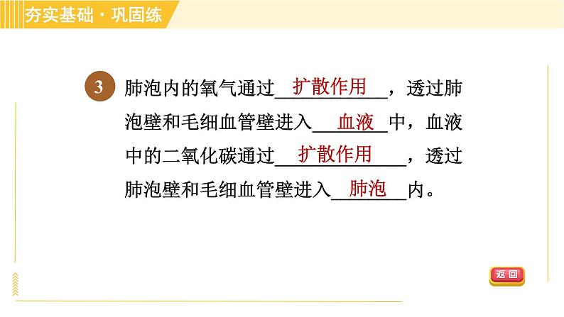 浙教版八年级下册科学 第3章 3.5.1 人体呼吸系统的结构和气体交换 习题课件05