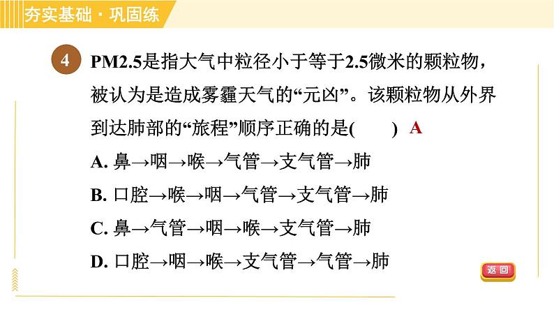 浙教版八年级下册科学 第3章 3.5.1 人体呼吸系统的结构和气体交换 习题课件06