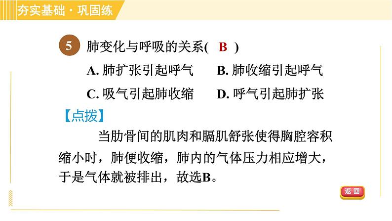 浙教版八年级下册科学 第3章 3.5.1 人体呼吸系统的结构和气体交换 习题课件07