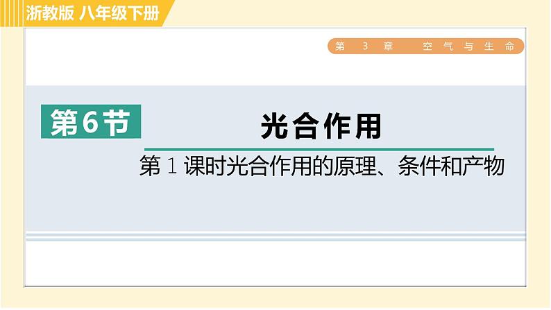 浙教版八年级下册科学 第3章 3.6.1 光合作用的原理、条件和产物 习题课件第1页