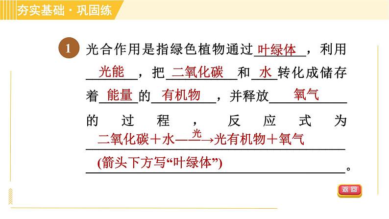 浙教版八年级下册科学 第3章 3.6.1 光合作用的原理、条件和产物 习题课件第3页