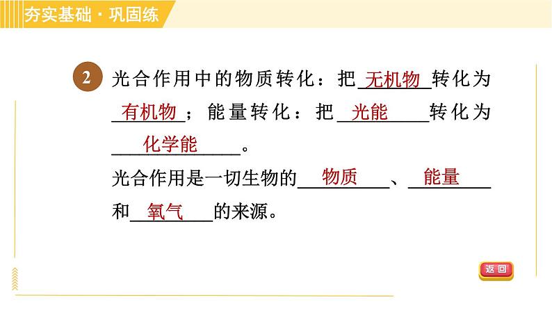 浙教版八年级下册科学 第3章 3.6.1 光合作用的原理、条件和产物 习题课件第4页