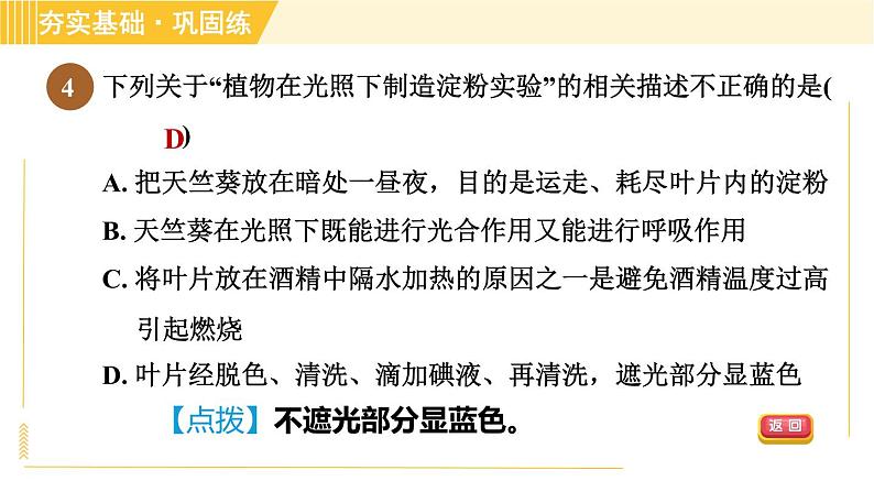 浙教版八年级下册科学 第3章 3.6.1 光合作用的原理、条件和产物 习题课件第6页