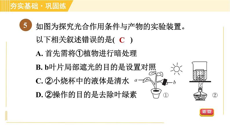 浙教版八年级下册科学 第3章 3.6.1 光合作用的原理、条件和产物 习题课件第7页