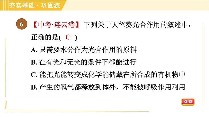 浙教版八年级下册科学 第3章 3.6.1 光合作用的原理、条件和产物 习题课件第8页