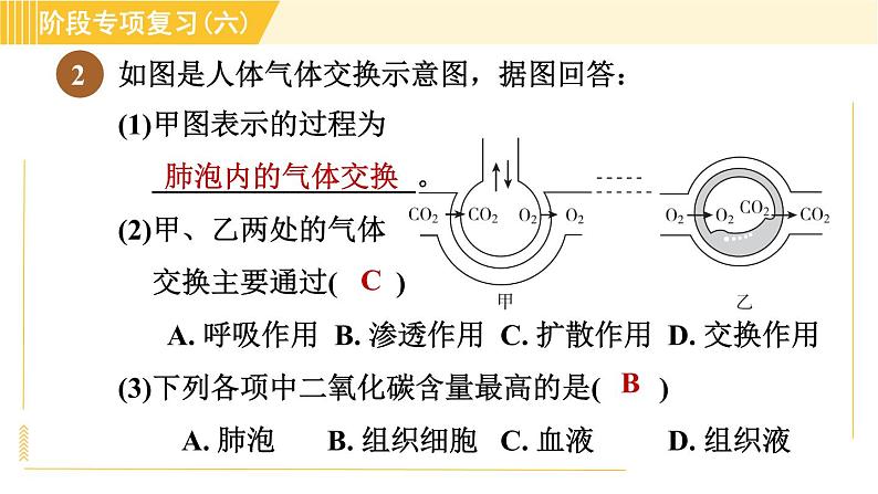 浙教版八年级下册科学 第3章 阶段专项复习（六） 习题课件第5页