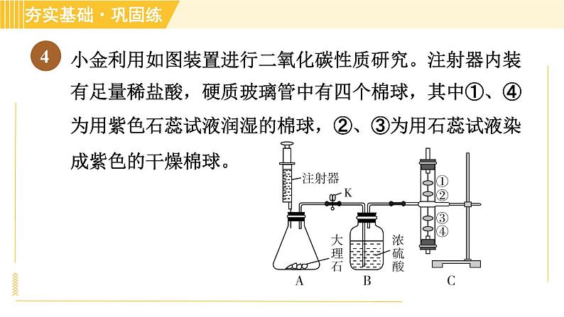 浙教版八年级下册科学 第3章 3.4.3 实验：二氧化碳的制取和性质研究 习题课件第6页