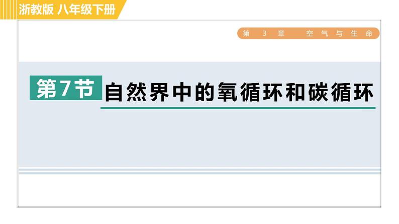 浙教版八年级下册科学 第3章 3.7 自然界中的氧循环和碳循环 习题课件第1页