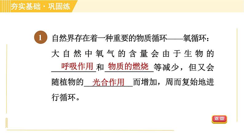 浙教版八年级下册科学 第3章 3.7 自然界中的氧循环和碳循环 习题课件第3页