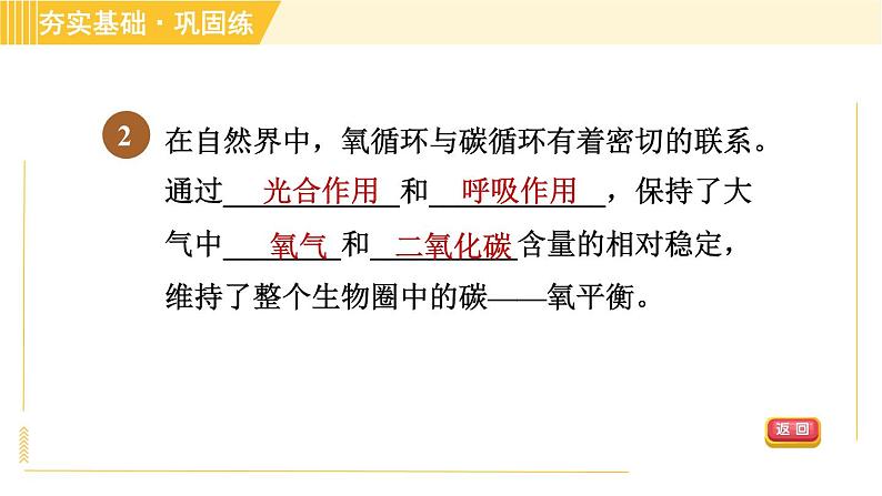 浙教版八年级下册科学 第3章 3.7 自然界中的氧循环和碳循环 习题课件第4页