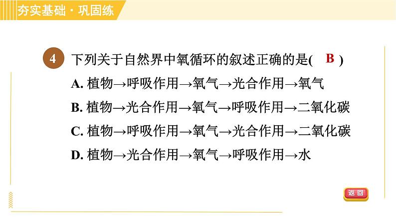 浙教版八年级下册科学 第3章 3.7 自然界中的氧循环和碳循环 习题课件第6页