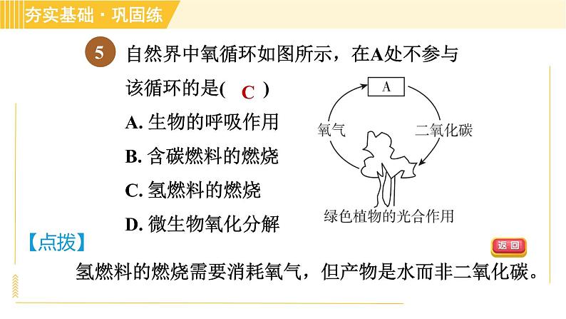 浙教版八年级下册科学 第3章 3.7 自然界中的氧循环和碳循环 习题课件第7页