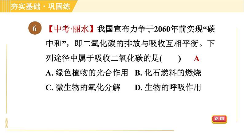 浙教版八年级下册科学 第3章 3.7 自然界中的氧循环和碳循环 习题课件第8页