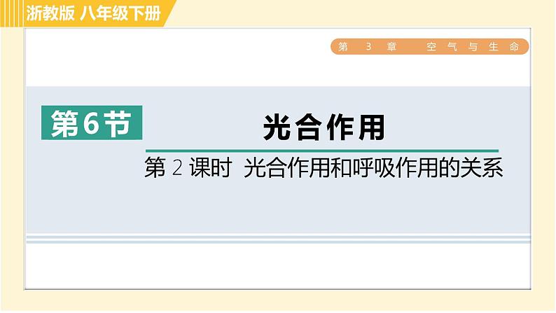 浙教版八年级下册科学 第3章 3.6.2 光合作用和呼吸作用的关系 习题课件第1页