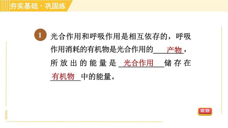 浙教版八年级下册科学 第3章 3.6.2 光合作用和呼吸作用的关系 习题课件第3页