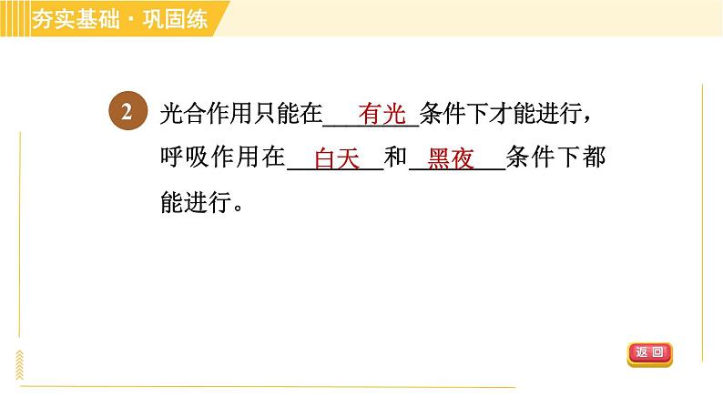 浙教版八年级下册科学 第3章 3.6.2 光合作用和呼吸作用的关系 习题课件第4页