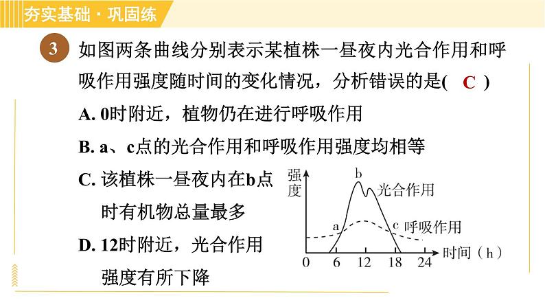 浙教版八年级下册科学 第3章 3.6.2 光合作用和呼吸作用的关系 习题课件第5页