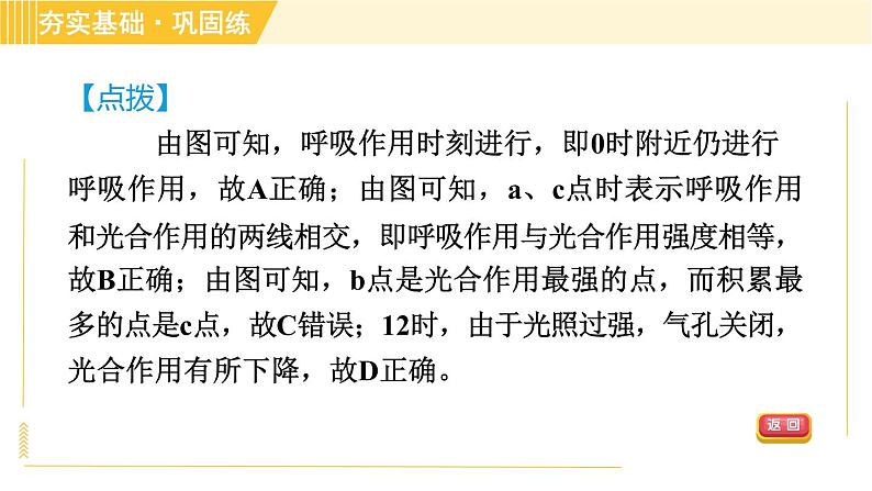 浙教版八年级下册科学 第3章 3.6.2 光合作用和呼吸作用的关系 习题课件第6页
