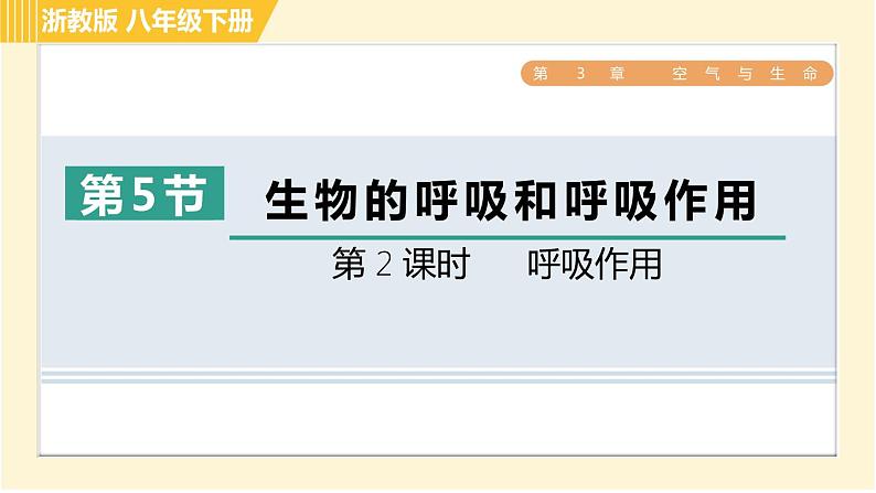 浙教版八年级下册科学 第3章 3.5.2 呼吸作用 习题课件第1页