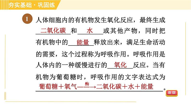 浙教版八年级下册科学 第3章 3.5.2 呼吸作用 习题课件第3页