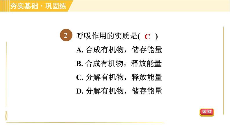 浙教版八年级下册科学 第3章 3.5.2 呼吸作用 习题课件第4页