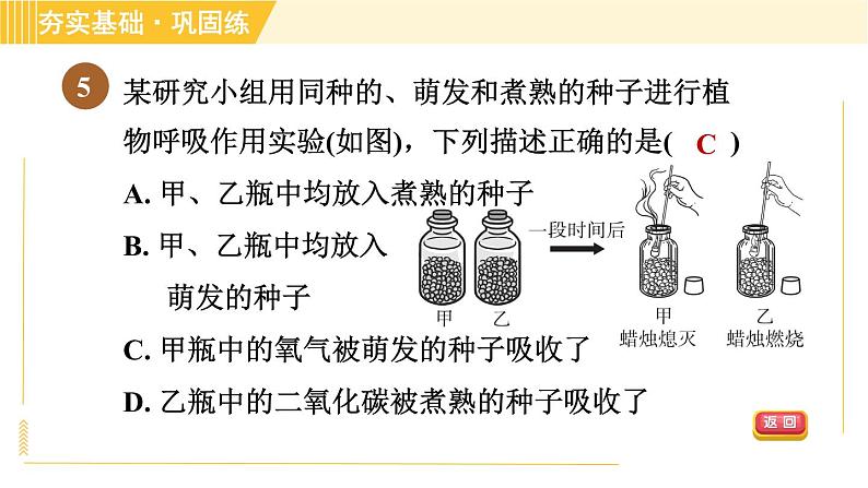 浙教版八年级下册科学 第3章 3.5.2 呼吸作用 习题课件第7页