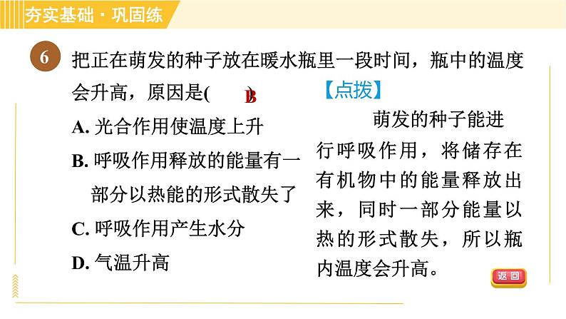 浙教版八年级下册科学 第3章 3.5.2 呼吸作用 习题课件第8页