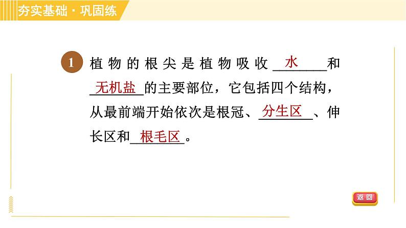 浙教版八年级下册科学 第4章 4.3.1 植物的根系、根的吸水和失水 习题课件03