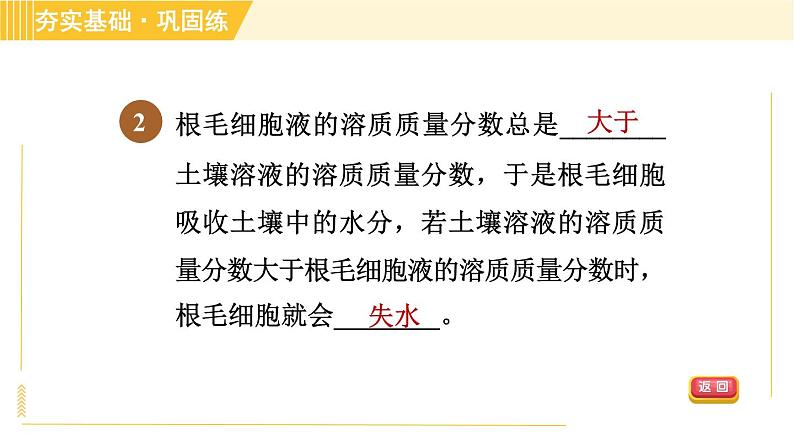 浙教版八年级下册科学 第4章 4.3.1 植物的根系、根的吸水和失水 习题课件04