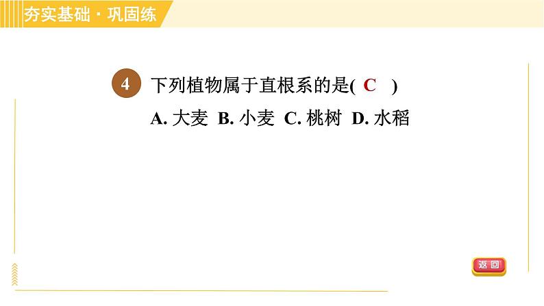 浙教版八年级下册科学 第4章 4.3.1 植物的根系、根的吸水和失水 习题课件06