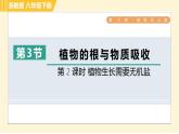 浙教版八年级下册科学 第4章 4.3.2 植物生长需要无机盐 习题课件