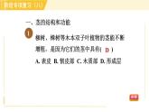 浙教版八年级下册科学 第4章 阶段专项复习（八） 习题课件