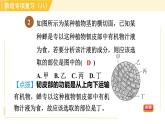 浙教版八年级下册科学 第4章 阶段专项复习（八） 习题课件