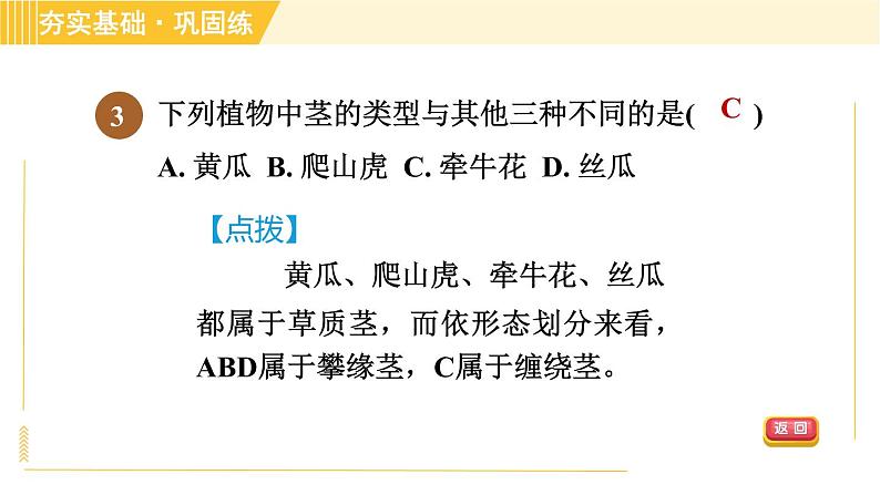 浙教版八年级下册科学 第4章 4.4.1 茎的结构、观察木质茎的结构 习题课件05