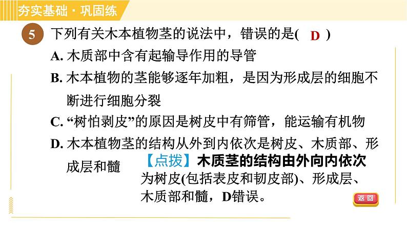 浙教版八年级下册科学 第4章 4.4.1 茎的结构、观察木质茎的结构 习题课件07