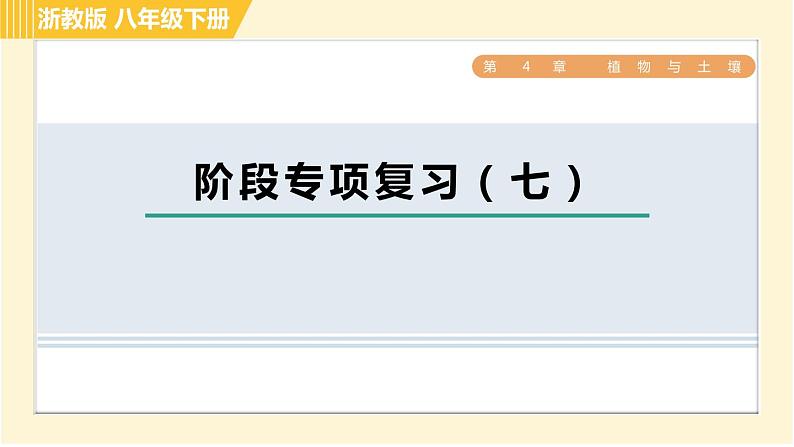 浙教版八年级下册科学 第4章 阶段专项复习（七） 习题课件01