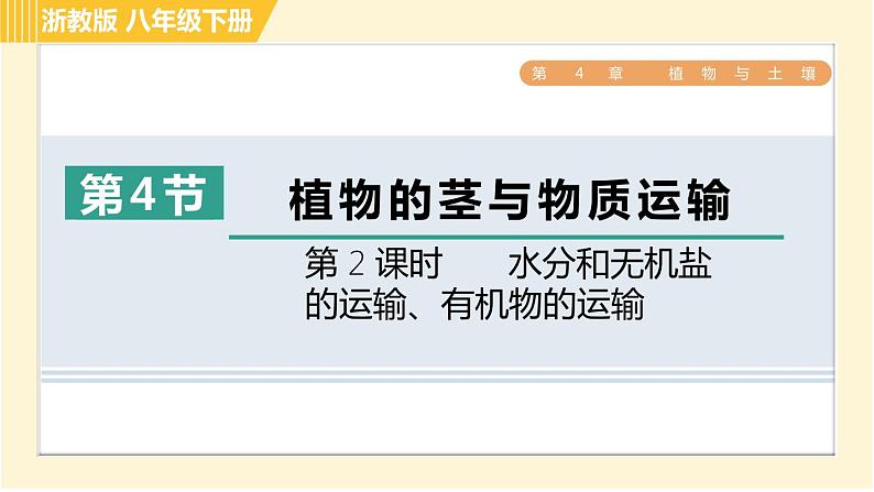 浙教版八年级下册科学 第4章 4.4.2 水分和无机盐的运输、有机物的运输 习题课件第1页