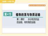 浙教版八年级下册科学 第4章 4.4.2 水分和无机盐的运输、有机物的运输 习题课件