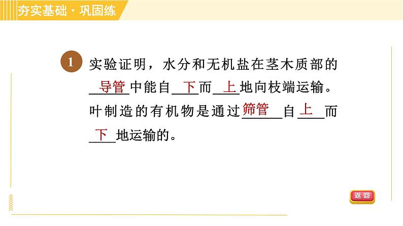 浙教版八年级下册科学 第4章 4.4.2 水分和无机盐的运输、有机物的运输 习题课件第3页