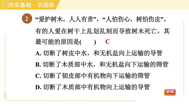 浙教版八年级下册科学 第4章 4.4.2 水分和无机盐的运输、有机物的运输 习题课件第4页