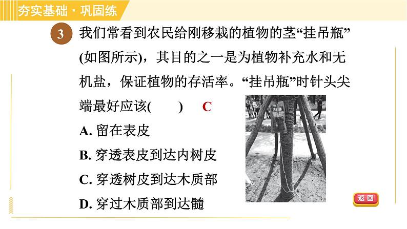 浙教版八年级下册科学 第4章 4.4.2 水分和无机盐的运输、有机物的运输 习题课件第5页