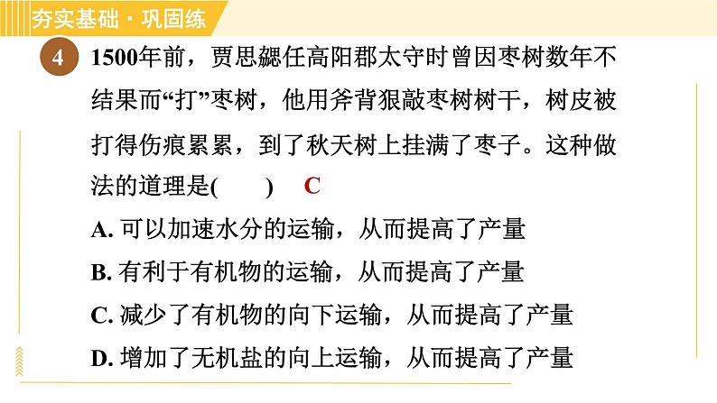 浙教版八年级下册科学 第4章 4.4.2 水分和无机盐的运输、有机物的运输 习题课件第6页