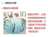 2020—2021学年浙教版科学七年级下册课件--1.3动物的生长时期(第1课时 )