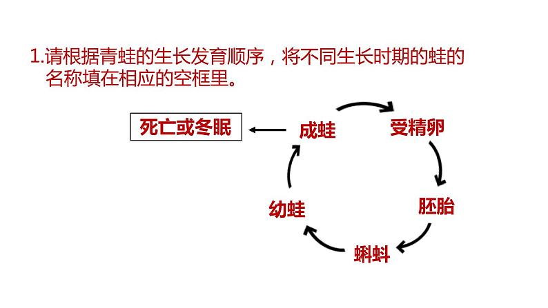 2020—2021学年浙教版科学七年级下册课件--1.3动物的生长时期(第1课时 )06